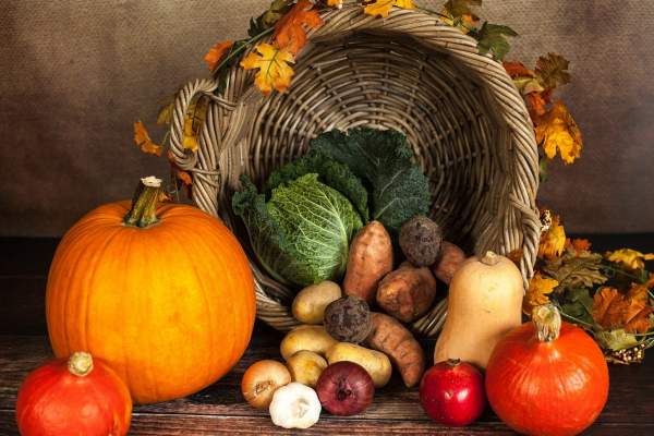 Économiser avec les légumes de saison
