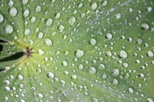 Beleggen met kleine bedragen