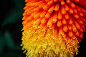 Automatisch beleggen