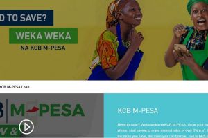 8 Platforms For Private and Business Loans in Kenya