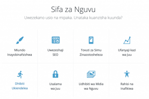 7 Months: FiFi Swahili, FiFi German, Medical Translation and WordPress in Swahili