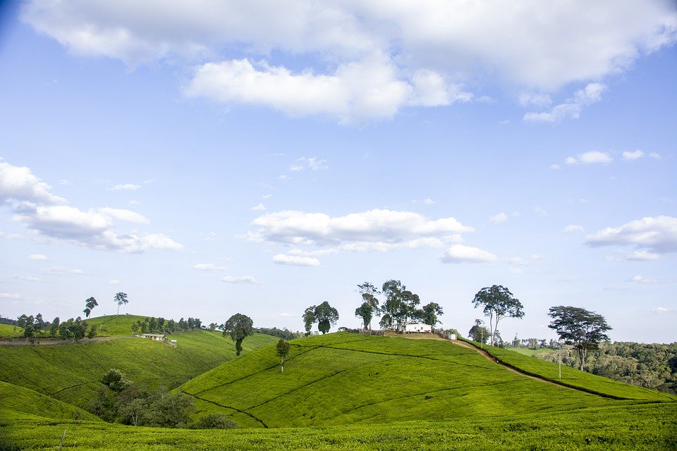 investment kenya