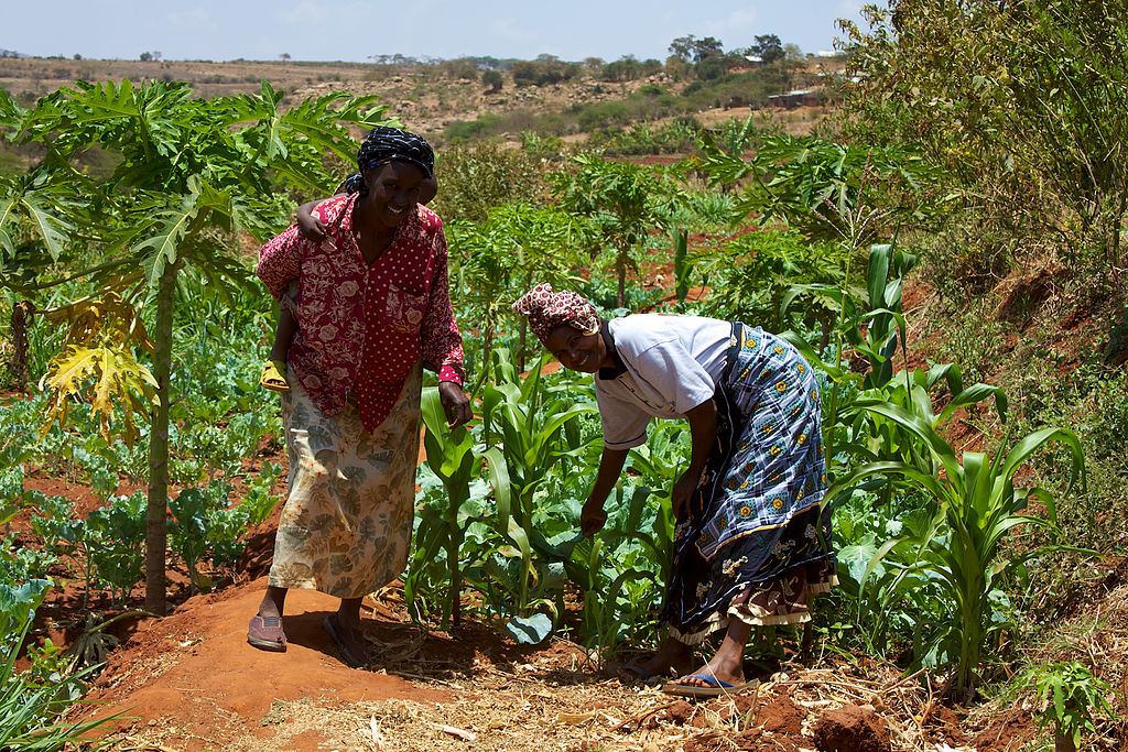 investment kenya