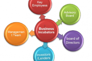Business incubators for startups in Africa