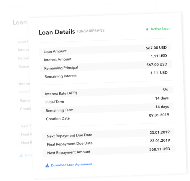 CoinLoan Account Example