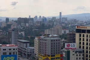 business opportunities in Ethiopia